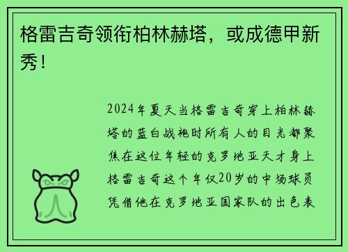 格雷吉奇领衔柏林赫塔，或成德甲新秀！