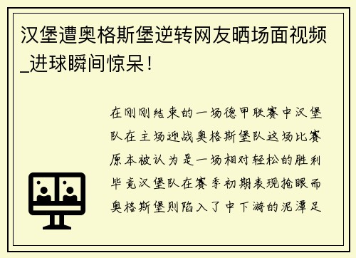 汉堡遭奥格斯堡逆转网友晒场面视频_进球瞬间惊呆！