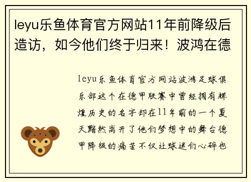 leyu乐鱼体育官方网站11年前降级后造访，如今他们终于归来！波鸿在德乙的11年奋斗史 - 副本 - 副本